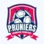 Club logo football club Pruniers Js