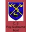 Clublogo voetbalvereniging Puy Guillaume C.s.