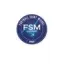 Logo du club de football Quesnoy S/deule Fsm
