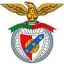 Logo du club de football S. Benfica Graulhet
