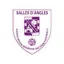 Clublogo voetbalvereniging Salles D Angles As