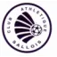 Club logo football club Sallois Ca