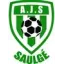 Logo du club de football Saulge