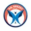 Club logo football club Spezet Pb