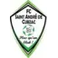 Club logo football club St Andre Cubzac Fc