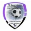 Logo du club de football St Aubin Fontainette