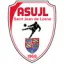 Club logo football club St Jean Losne Asujl