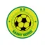 Logo du club de football St Seine