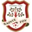 Club logo football club Ste Foy Fc