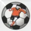 Club logo football club Tigy/vien.us
