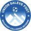 Logo du club de football Union Saleve Foot