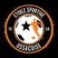 Logo du club de football Ussac Es