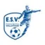 Club logo football club Vallet Es