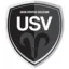 Logo du club de football Vasleenne Us
