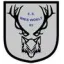 Logo du club de football Wies Woelf Es