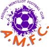 Club logo football club A M F C