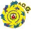 Logo du club de football A. O. Gourbeyrienne