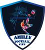 Clublogo voetbalvereniging Amilly Fc