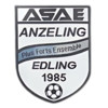 Logo du club de football Anzeling AS