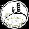 Logo du club de football A.s. St Etienne Sud