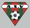 Logo du club de football Av.s. Violesien