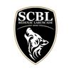 Clublogo voetbalvereniging Bedenac Laruscade Sc