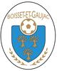 Logo du club de football Bgfc