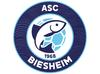 Logo du club de football Biesheim Asc