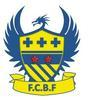 Logo du club de football Bonnieres Freneuse