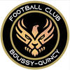 Club logo football club Boussy-quincy FC