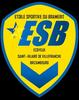 Clublogo voetbalvereniging Bramerit Es uit Ecoyeux en Brizambourg