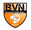 Logo du club de football Bvn uit Neuvy St Sepulcre en Le Magny en Tranzault