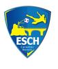Logo du club de football Carantec Es