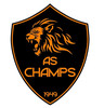 Logo du club de football Champs S/marne Foot