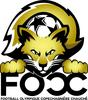 Logo du club de football Chauche Cop Ccfo uit La Copechagniere en Les Brouzils en Chauche en St Denis La Chevasse en L Herbergement