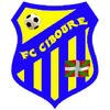 Logo du club de football Ciboure Fc