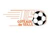 Logo du club de football Coteaux De Seille uit Domblans