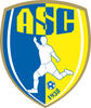 Logo du club de football Coulonges Thouarsais
