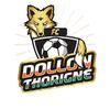 Logo du club de football Dollon Thorigne Fc uit Thorigne Sur Due en Le Breil Sur Merize en Ste Osmane