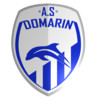 Club logo football club Domarin As