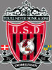 Logo du club de football Domessin U.s.
