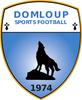 Club logo football club Domloup Sp. uit Domloup en Acigne en Brece en Chateaugiron en Nouvoitou en Noyal Sur Vilaine