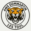 Logo du club de football Dommartin AS