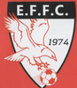Club logo football club Effca