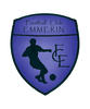 Club logo football club Emmerin FC