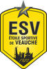 Logo du club de football E.s. De Veauche