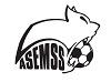 Club logo football club Esves St Seno uit St Senoch