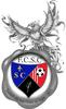 Club logo football club F C S C