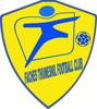 Club logo football club Faches Thumesnil Fc