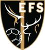 Logo du club de football Falconiennes